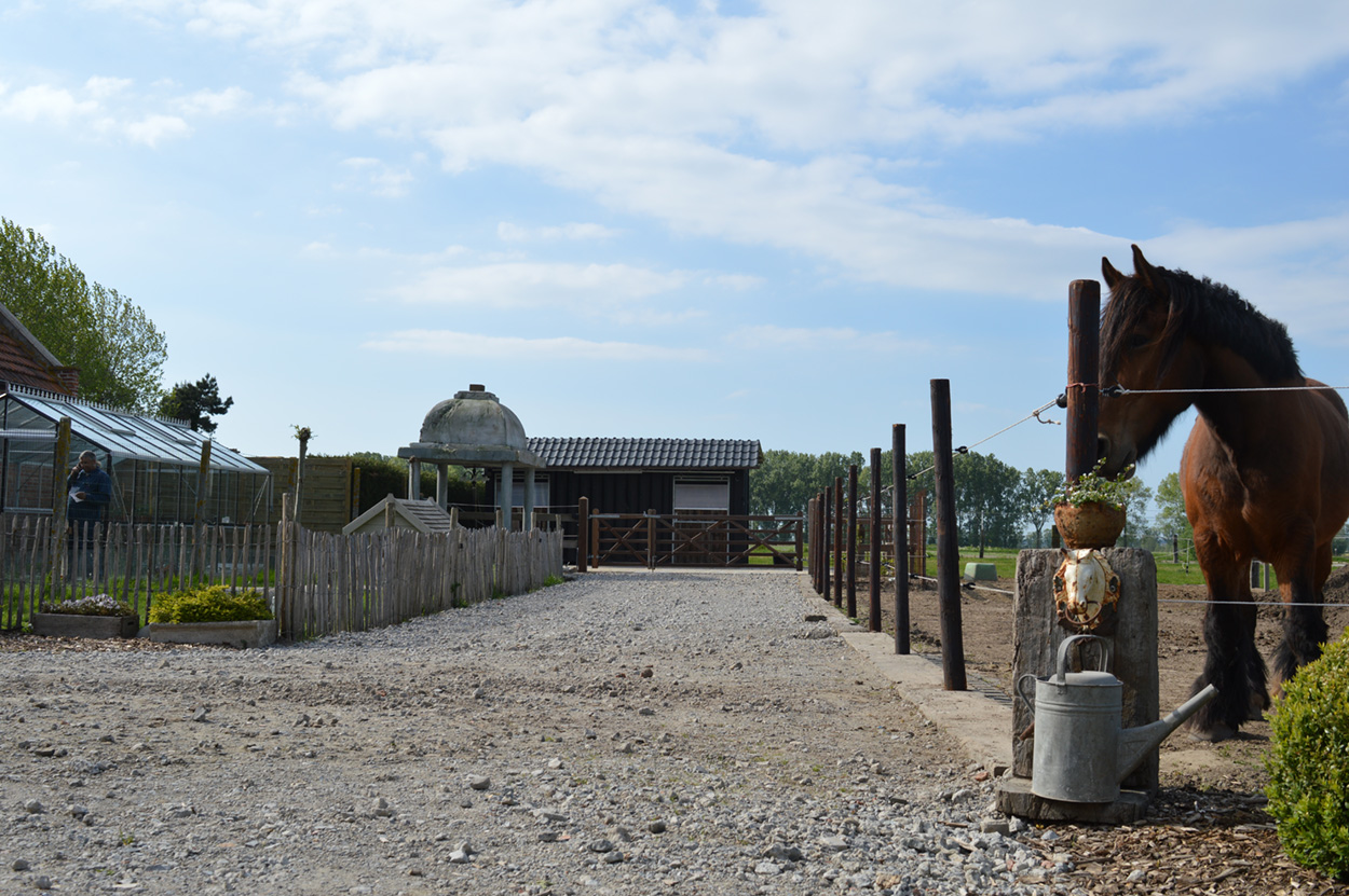 Paardenwei B&C Vakantiewoning