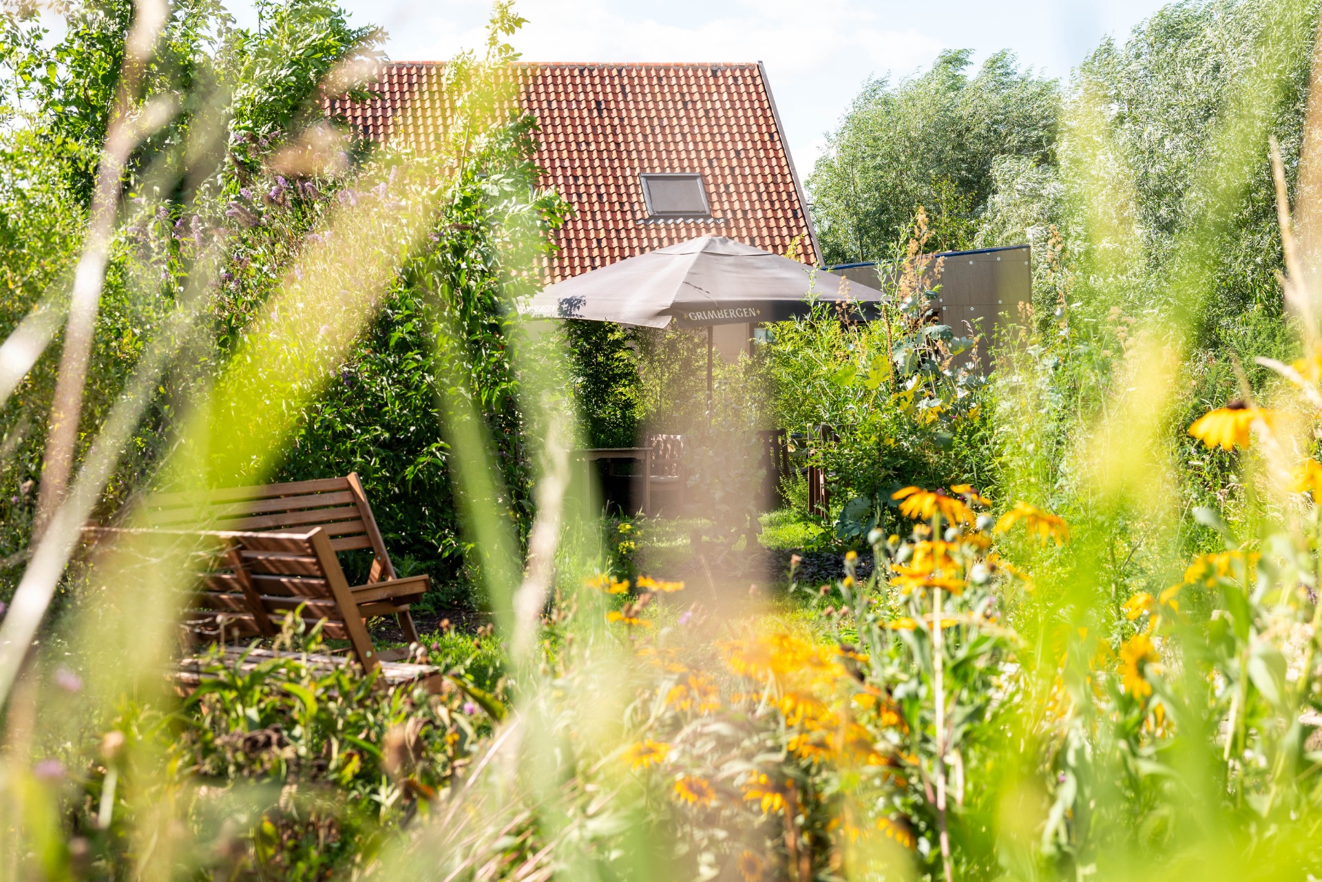 Kringelhofbos
